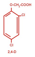 Formula chimica del cloro