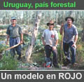 SECCIN: Uruguay, pas forestal - Un modelo en ROJO