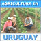 Agricultura en URUGUAY