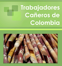 Web de Trabajadores Caeros de Colombia