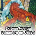 Exitosa Huelga Bananera en Urabá - 2004